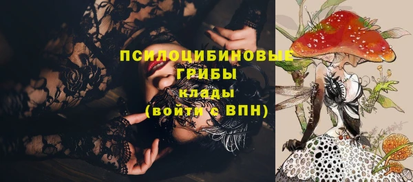 дживик Абинск