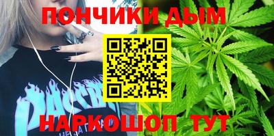 apvp Можга