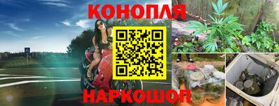 apvp Можга