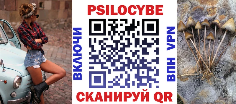 Псилоцибиновые грибы мицелий Химки
