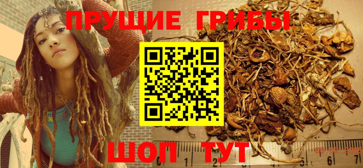 Химки  Псилоцибиновые грибы прущие грибы  где продают   Псилоцибиновые грибы прущие грибы  Вход с VPN 