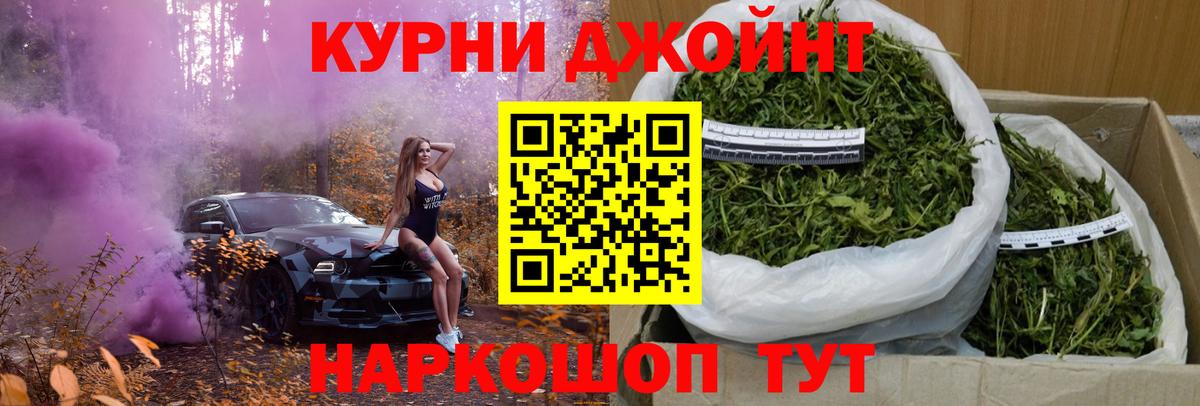 Канабис сатива Химки